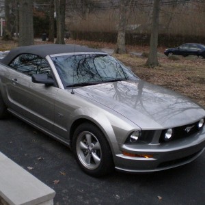 2008 ford mustang photo