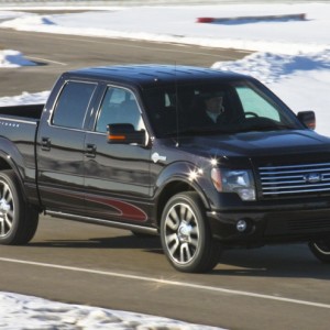 2010 ford f-150 photo
