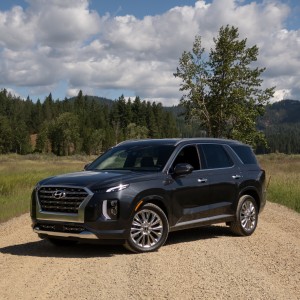 2020 hyundai palisade photo