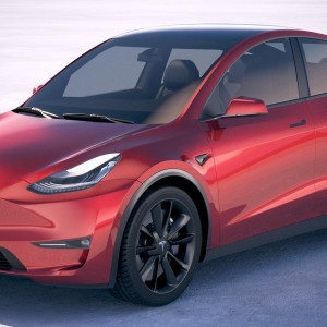 2021 tesla model-y photo